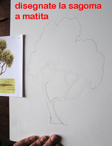 corso di disegno naturalistico 7 lezione